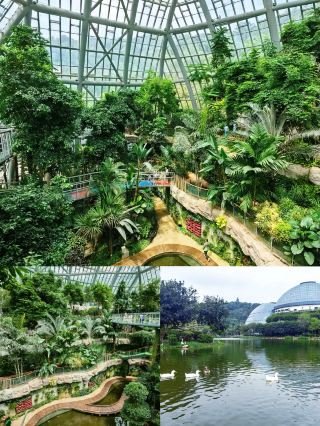 Shenzhen Nearby Getaway | A 2-Day 1-Night Family Slow Travel Guide to Huizhou Downtown