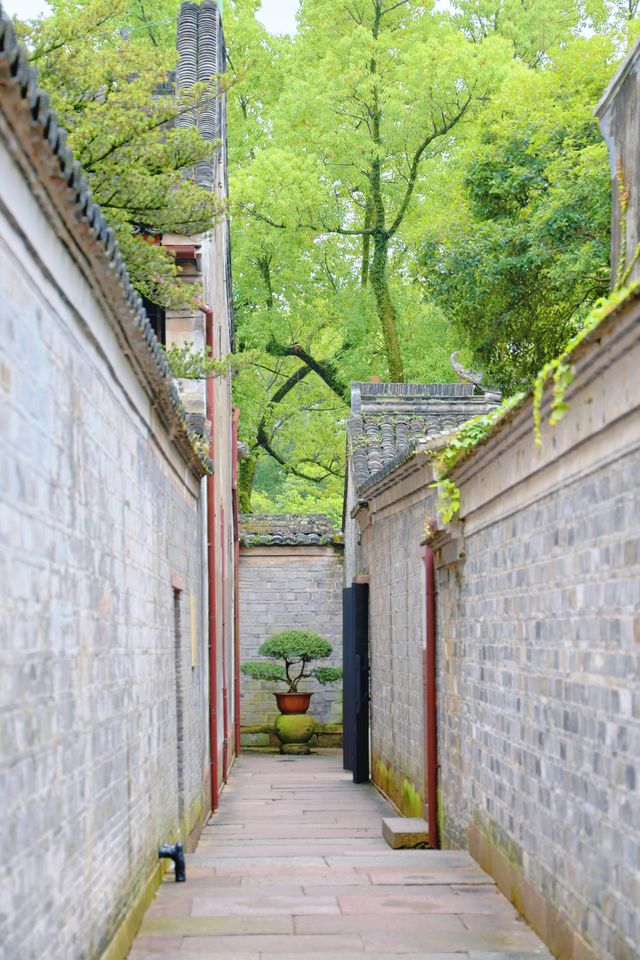 探索江南古建瑰寶！天一閣文化之旅