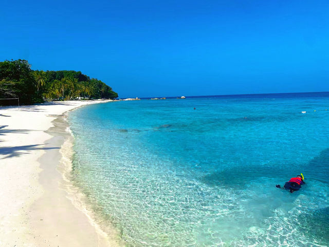 浪中島潛水攻略：熱帶海洋的奇幻之旅
