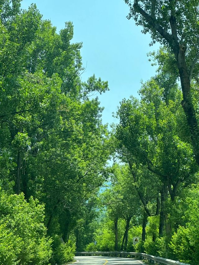 今個夏天不如躲進北京1.5小時山野間的獨棟小院