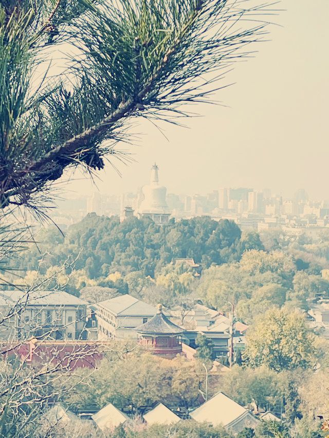 北京絶景スポット】景山公園で紫禁城を一望！絶対に行くべき観光ガイド​
