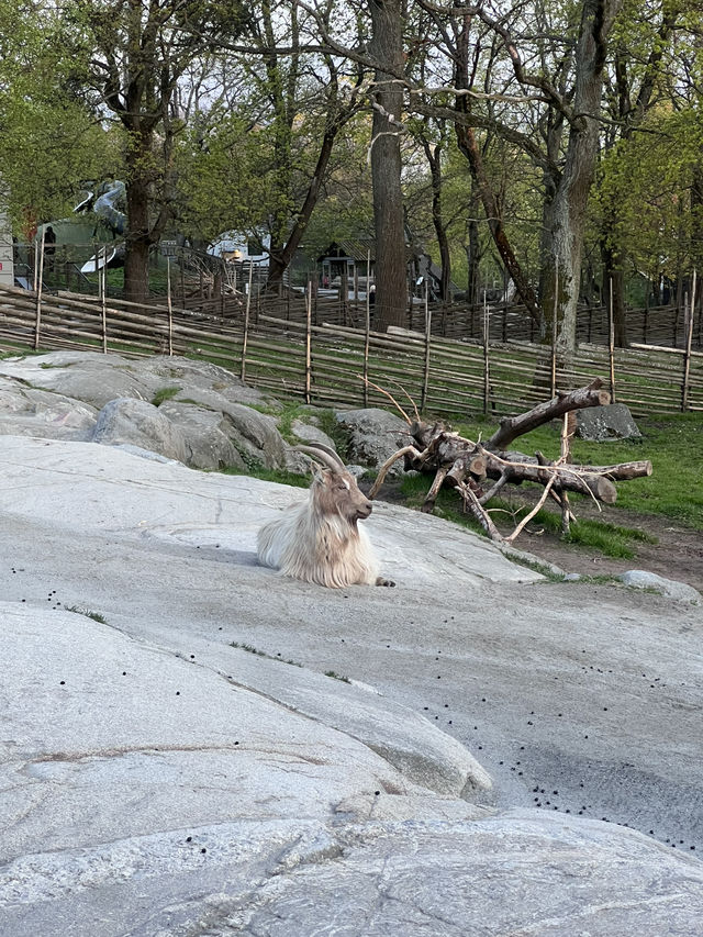 Skansen Visitor Guide – Stockholm, Sweden