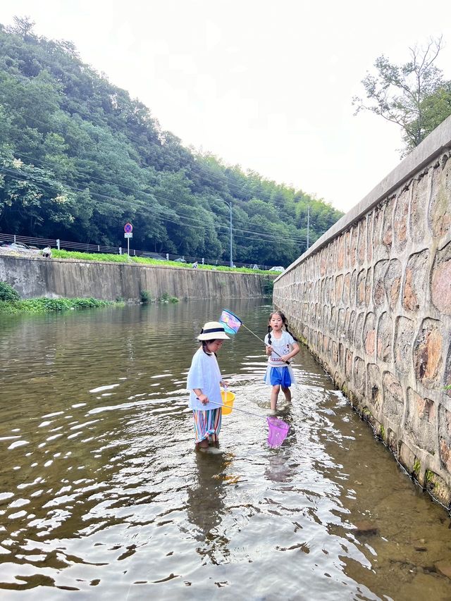 南京自駕1.5小時宜興天夜親子遊攻略