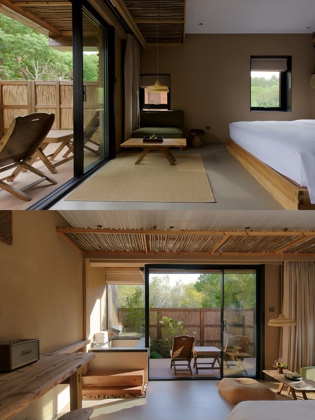 上海1小時直達住進森林氧吧擼貓玩水