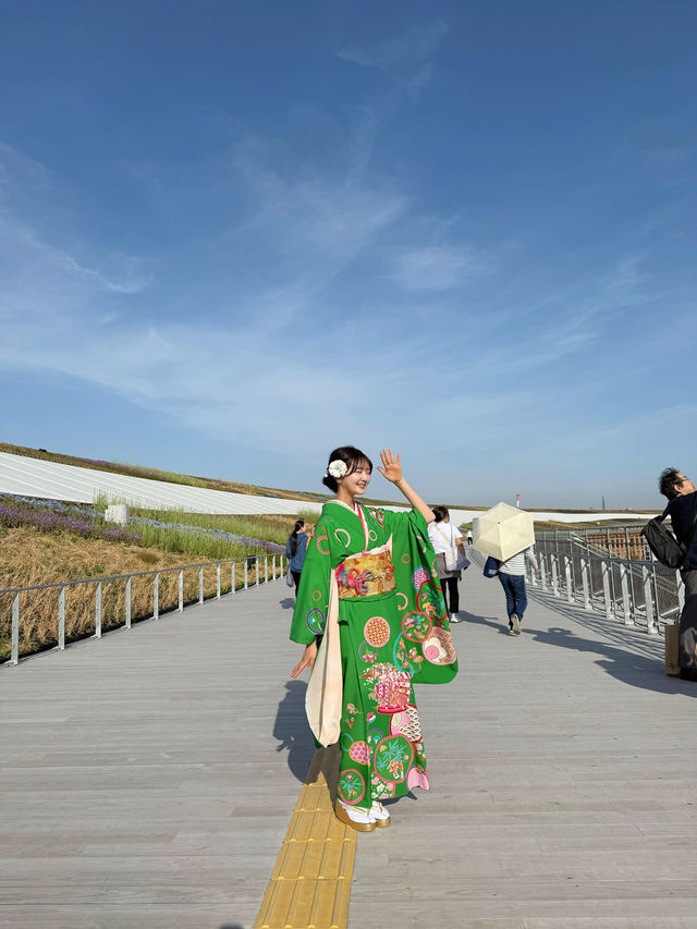 網羅全網京都吃喝玩樂最強旅行攻略推薦
