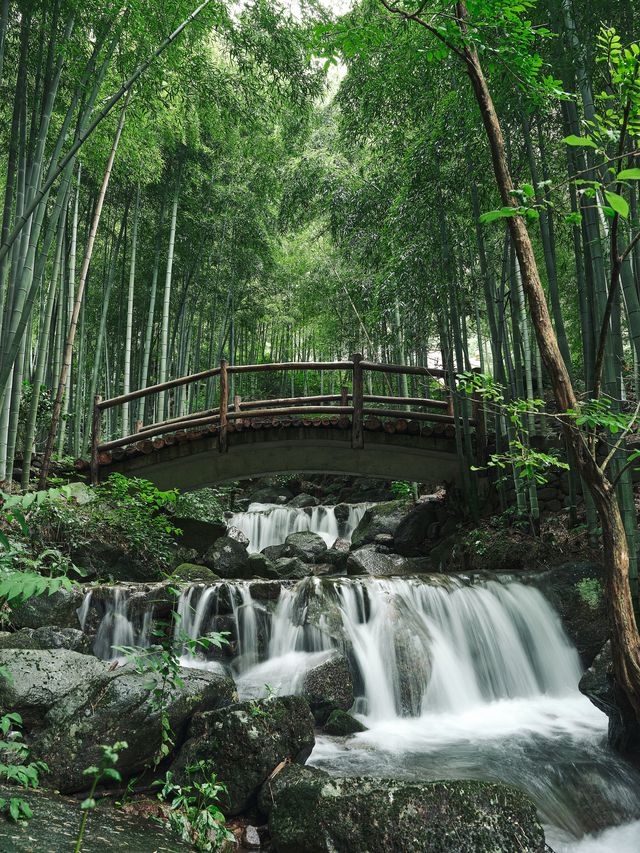 「雲上草原·反內卷玩水指南」嚟啦！