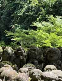京都嵐山七月遊熱門路線分享