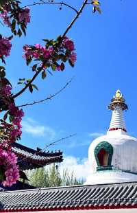 西塔延壽寺：梵音光影間，觸碰瀋陽嘅魂