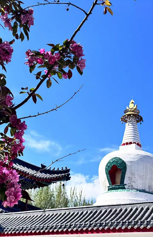 西塔延壽寺：梵音光影間，觸碰瀋陽嘅魂