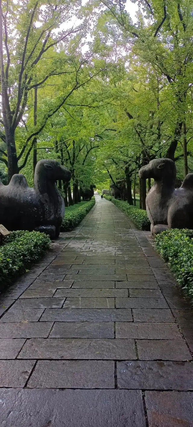總要去趟南京吧，夏日兩天一夜旅行攻略