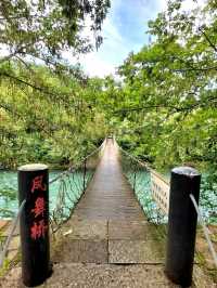 📖 山水書香的秘境旅程｜永嘉書院一日探訪記～