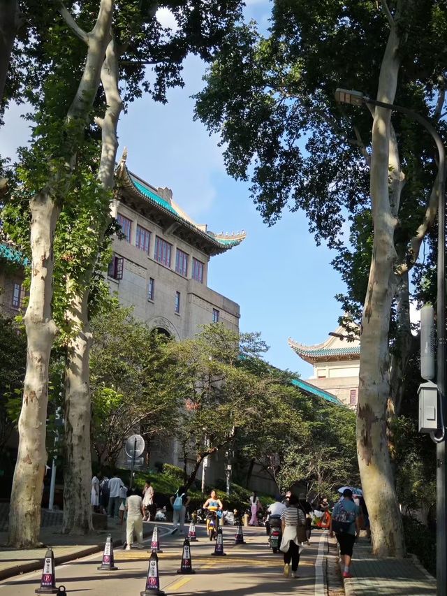 喺武大校園漫步,每一寸土地都散發住濃厚嘅文化底蘊。 喺武大校園漫步,每一寸土地都散發住濃厚嘅文化底蘊。