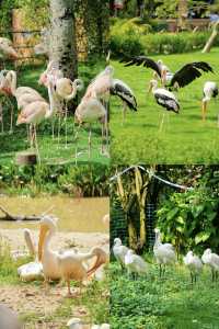 清遠長隆｜讓孩子同動物「做朋友」嘅魔法森林