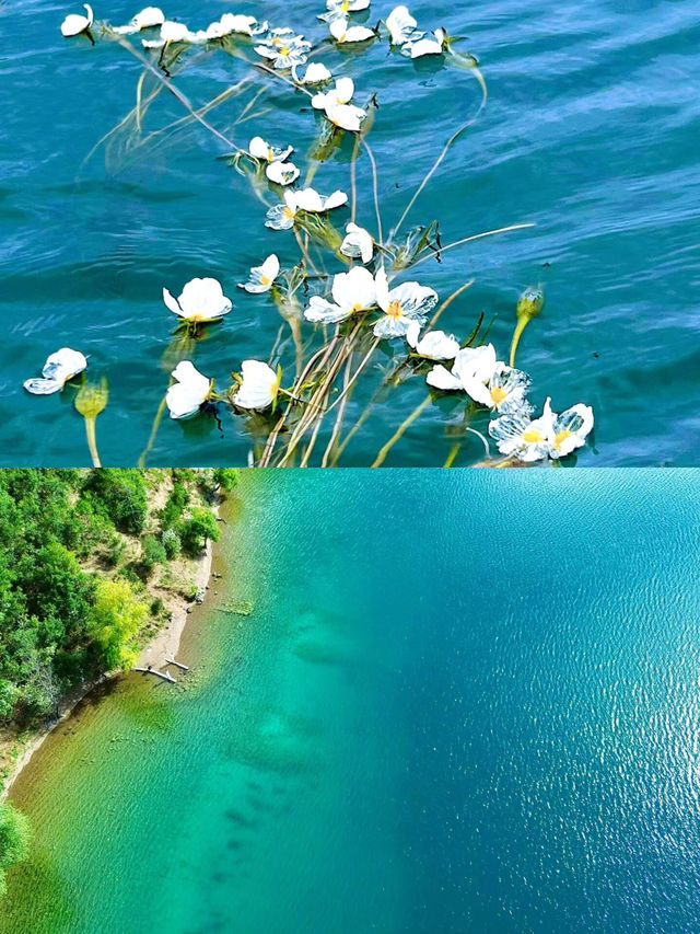 無濾鏡，在晴空下看到完美的青海湖 8月2日從西寧租車，用兩個半天沿著青海湖完成了一場悠閒的環湖之旅。