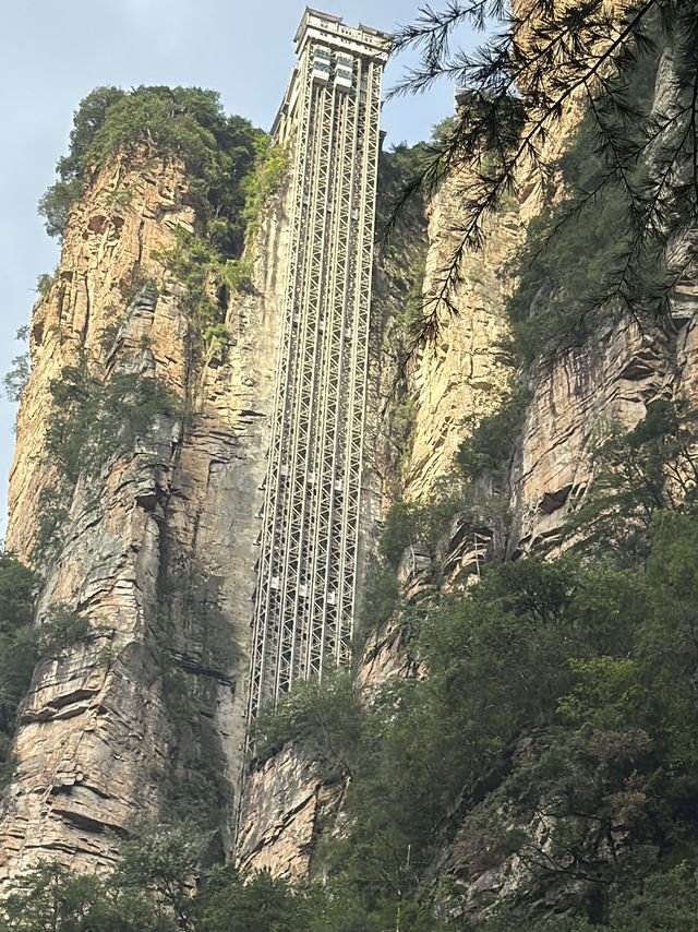 Real-Life Avatar World in Zhangjiajie Real-Life Avatar World in Zhangjiajie
