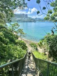 港島最美海岸線行山1.5小時新手友善路線！衝呀！