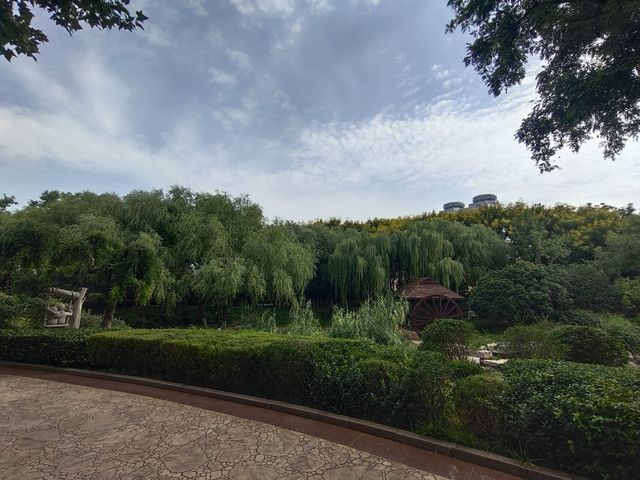 張面河畔私藏美景