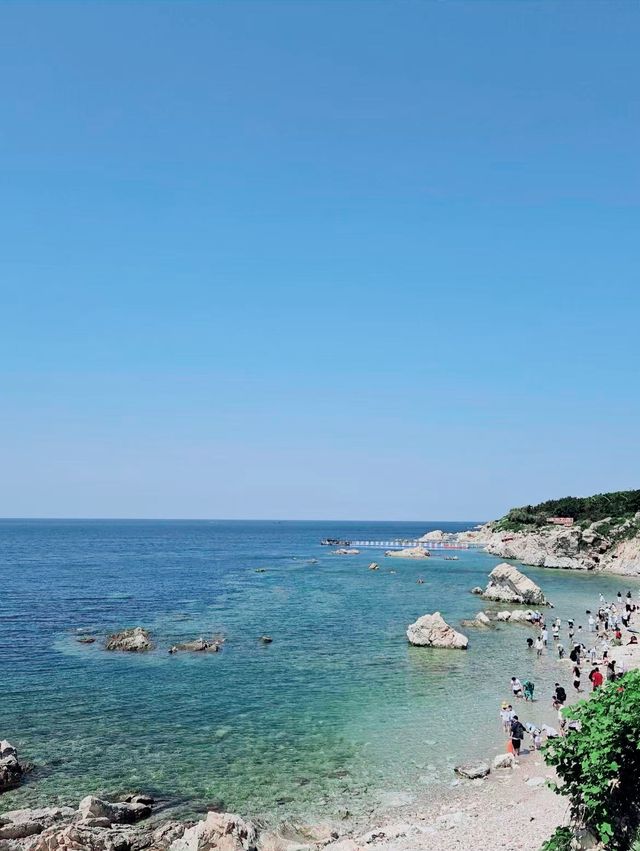 煙台已回（不用避雷）丨真的很假