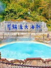 雲南小眾旅遊推薦！騰衝銀杏村+無量山櫻花。