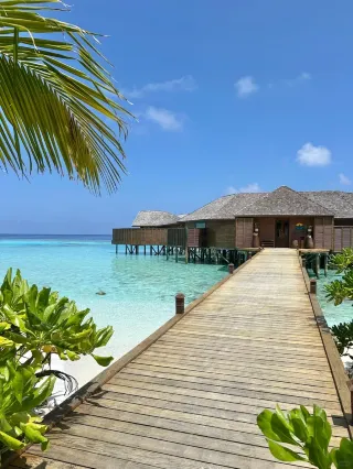 ถ้าไปเที่ยวมัลดีฟส์ด้วยงบจำกัด ลอง Lily Beach ดูสิ! ข้อเสนออื่นๆ ยังไม่โดนใจคุณเลย!