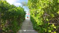 Unforgettable Honeymoon Experience at Velavaru