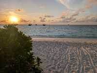 Memorable Stay at Safari Island