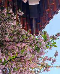 金色田園邂逅古彝寨