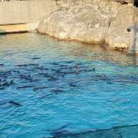 【東京】葛西臨海公園水族園へ🐠🫧‪