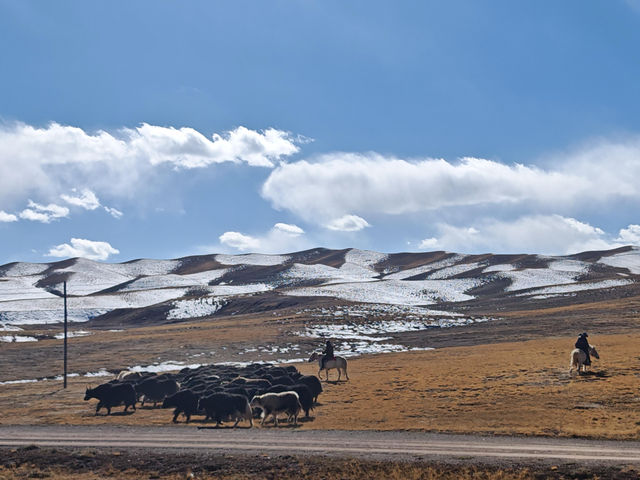 青海旅遊攻略 青海旅遊攻略