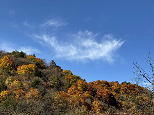 【每週出遊】漢中探秋，黎坪景區一日遊
