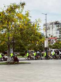 👑 Royal Palace Park Phnom Penh: Where Golden Spires Meet Tropical Dreams! 🌴