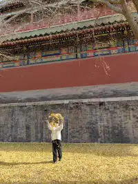 跟風成功！北京賞秋打卡地詳細路線