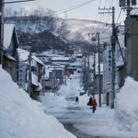 🐧오타루 수족관에서 펭귄과 눈꽃을 만난 날
