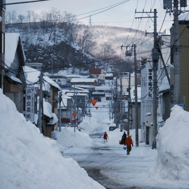 🐧오타루 수족관에서 펭귄과 눈꽃을 만난 날 🐧오타루 수족관에서 펭귄과 눈꽃을 만난 날