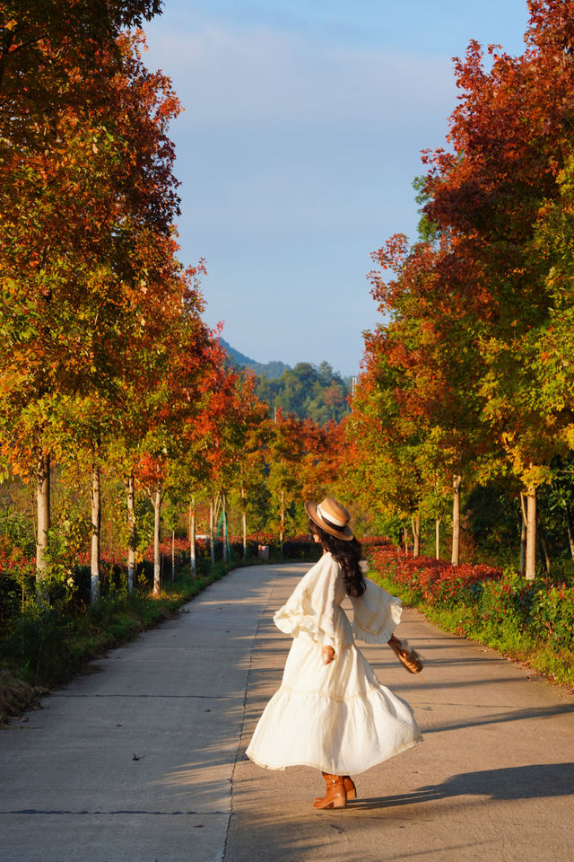 廣東人的浪漫闖入童話般的紅葉秋天! 廣東人的浪漫闖入童話般的紅葉秋天!