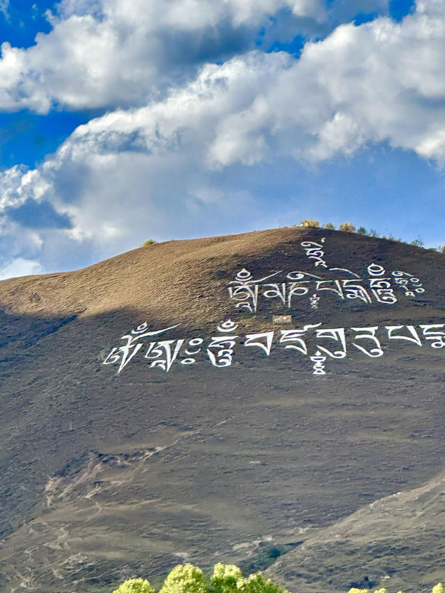10月川西，赴一場光與金黃的約會