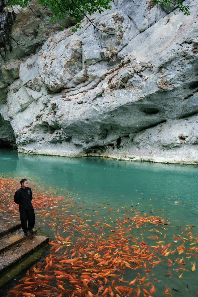 迄今去過最鬆弛的江浙滬小城，奈何不火