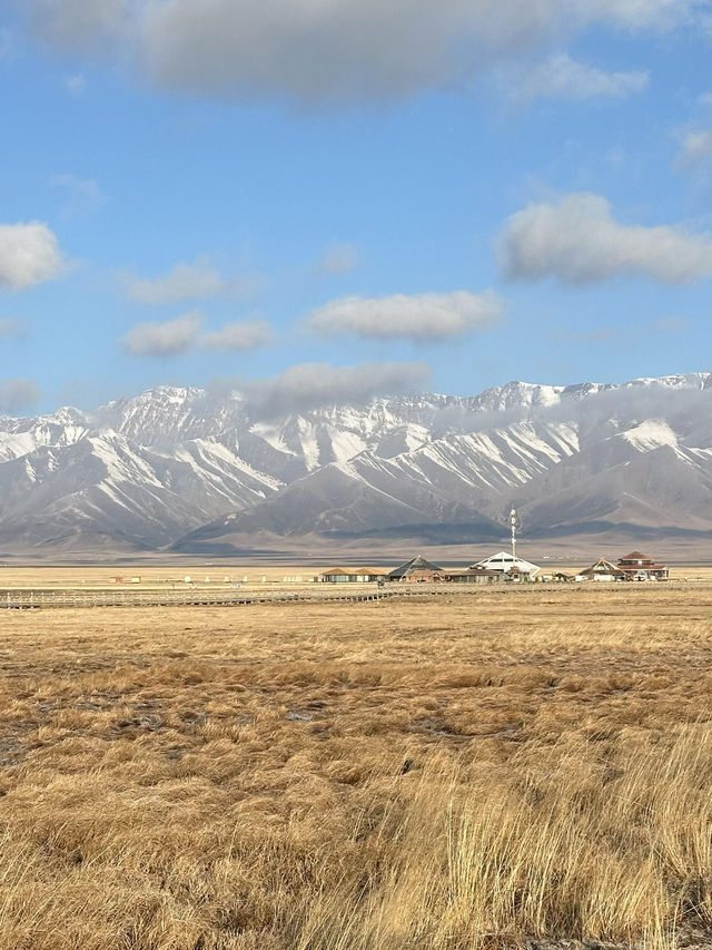 對於在成都忙碌的打工人來說，賽里木湖絕對是讓你暫時逃離都市喧囂、 recharge 能量的完美選擇。