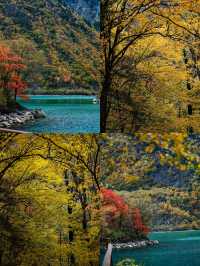 松坪溝有著「川西小九寨」的美譽