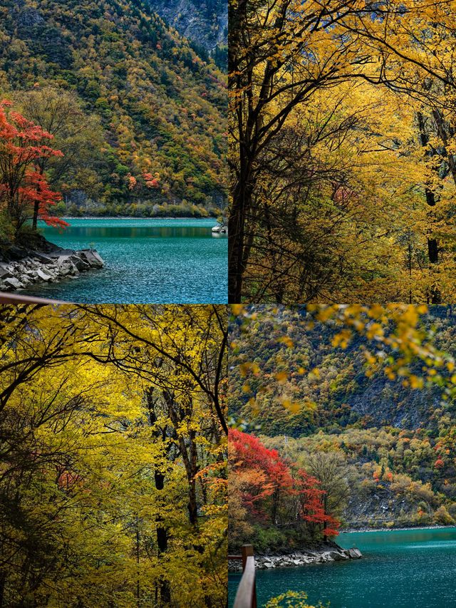 松坪溝有著「川西小九寨」的美譽