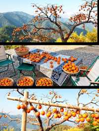 快來打卡！溫州神秘東爐村