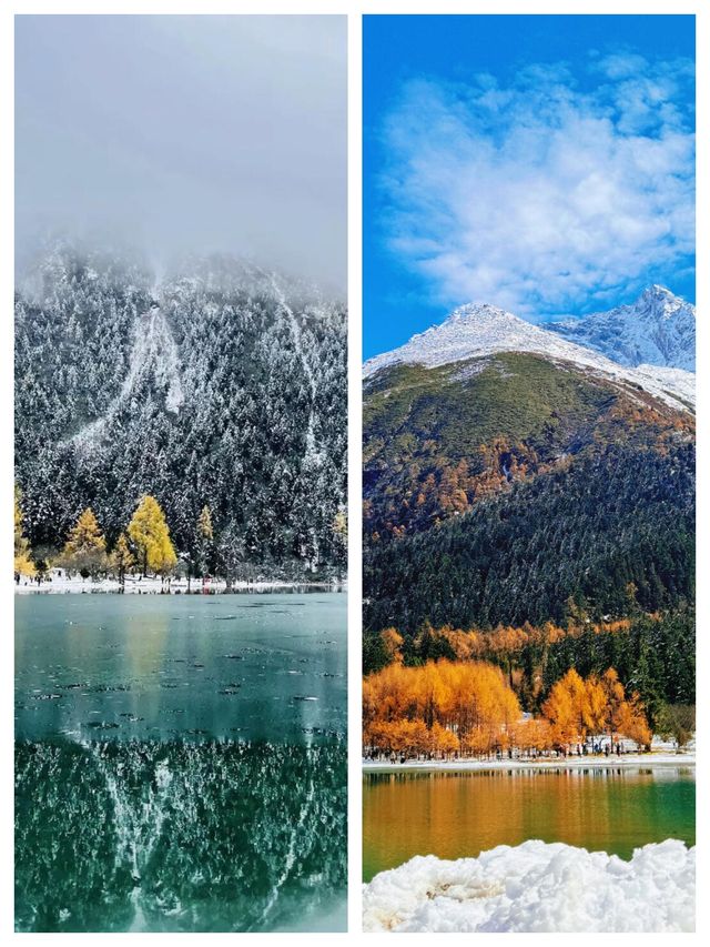 雪後的畢棚溝,美成了北歐 雪後的畢棚溝,美成了北歐