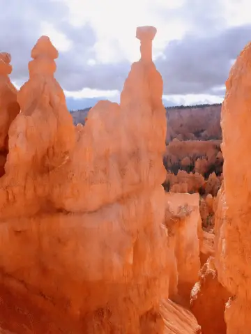 Your ultimate 14-day US travel guide is here