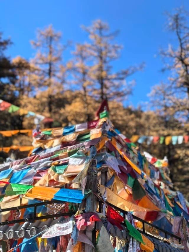 稻城亞丁絕美星空