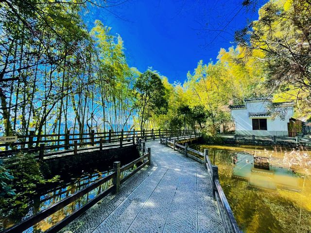 登千年文脈島，賞湖光映古意