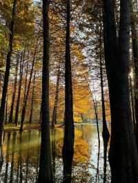 南京5年打工人的超濃縮攻略本地人帶你玩轉六朝古都