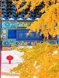 11月的大理，是打翻了的調色盤啊！附超全攻略