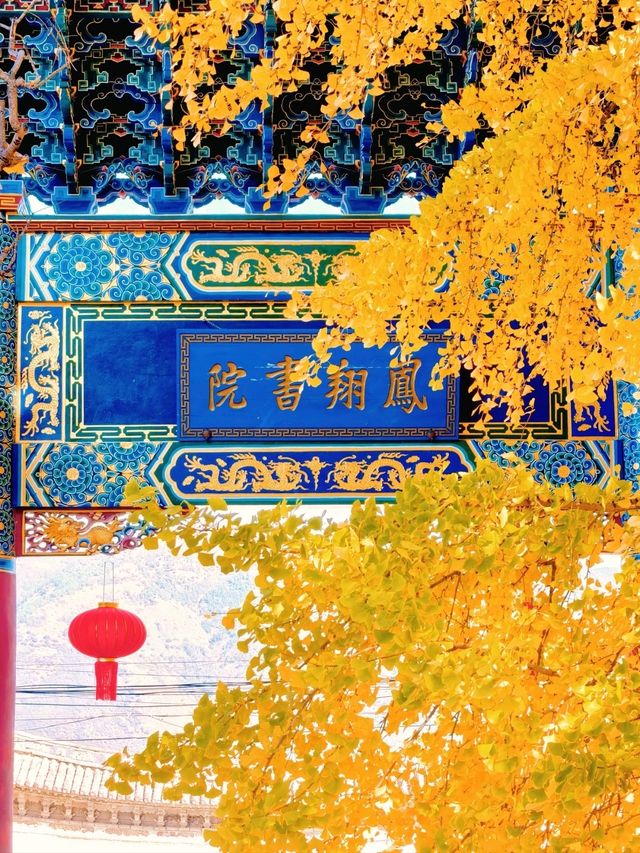 11月的大理，是打翻了的調色盤啊！附超全攻略