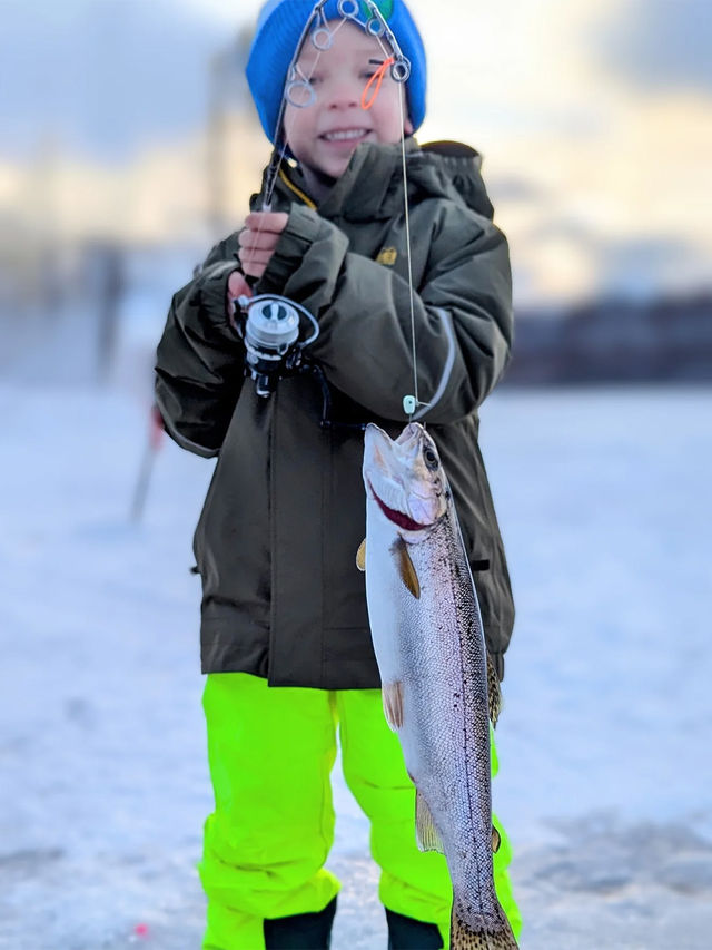 乘極光列車泡溫泉|7天解鎖阿拉斯加玩法