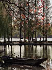 絕美莫愁湖打卡攻略